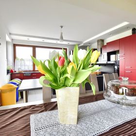 Dom Na Wichrowym Wzgórzu Żywiec