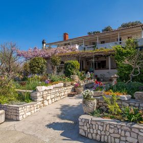 Apartman Supetarska Draga - CKR727