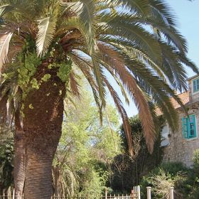 Vendégház Milna - CDB516