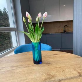 Apartament Resort Kozubnik SPA 26 - 5D Apartamenty