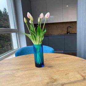 Apartament Resort Kozubnik SPA 26 - 5D Apartamenty