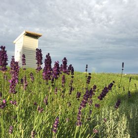 Emese Apartman Cserszegtomaj