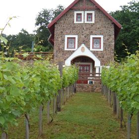 Szent Orbán Vendégház Ábrahámhegy