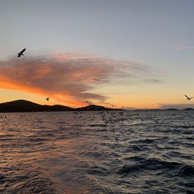 Beach house Danica Bain Žuti Murter