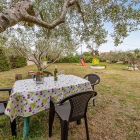 Apartman Vrsi - CDI145