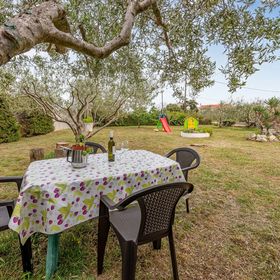 Apartman Vrsi - CDI145