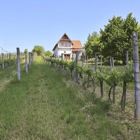 MacskaFészek Vendégház Kissomlyó