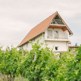 MacskaFészek Vendégház Kissomlyó