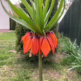 Kisdió Vendégház Dég