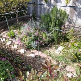 Apartman Olivija Sea View Podgora