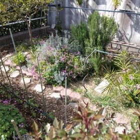 Apartman Olivija Sea View Podgora