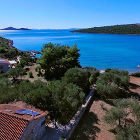 House Olive Tree Tkon