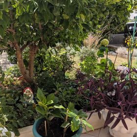 Apartmanok Parkolóhellyel Vodice - 18428