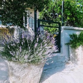 Apartmanok Parkolóhellyel Pakostane, Biograd - 18979 Pakoštane