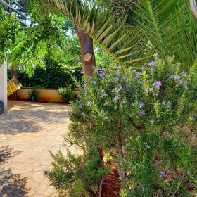 Apartmanok A Tenger Mellett Vir - 19217