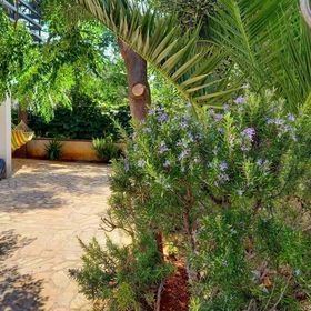 Apartmanok A Tenger Mellett Vir - 19217