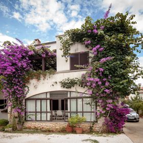 Apartments Sinisa Rovinj