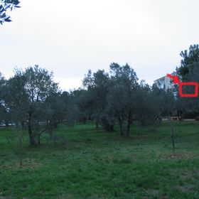 Apartment Oliva Fazana