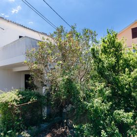 Apartment RUŽA Lopar II