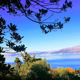 Apartments Ruža vjetrova Postira