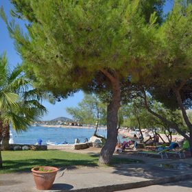 Apartment Zdravko Srima