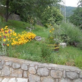 Apartments VESNA Moscenicka Draga