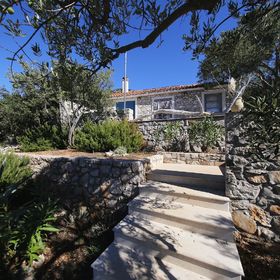 House Lemon Tree Tkon