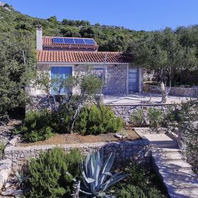 House Lemon Tree Tkon