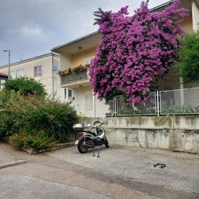 Rooms Mirjana Trogir