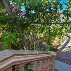 Apartments Immortelle Biograd