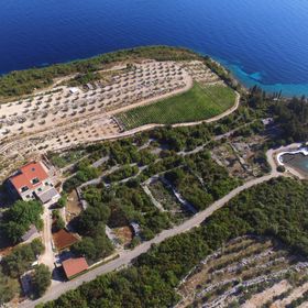 Apartments Koras Kneža