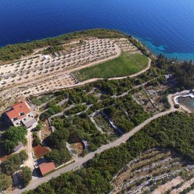 Apartments Koras Kneža