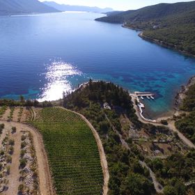 Apartments Koras Kneža