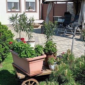 Kőszeg Levendula Apartmanház