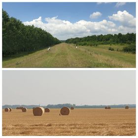 BigCarpHome Vendégház Szigetbecse