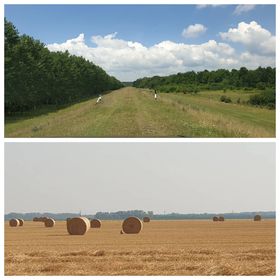 BigCarpHome Vendégház Szigetbecse
