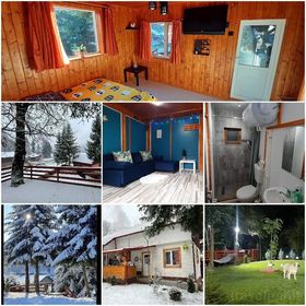 Căsuța dintre brazi Valea Doftanei