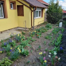 Csigaház Vendégház Mór