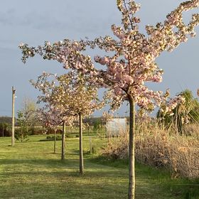 Kertvárosi Horgásztó Apartmanok Ibrány