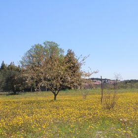 Apartment Mirjana Pula