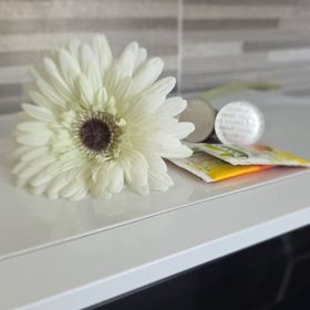 Erka Home Apartman Esztergom