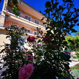 Apartment Lidija Novi Vinodolski