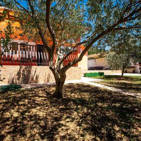 House Olive tree Mundanije