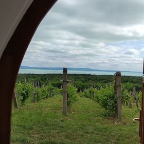 Napraszállás Vendégház Balatonakali