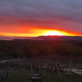 Napraszállás Vendégház Balatonakali