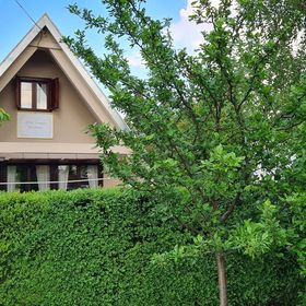 AlMa Vendégház Fertőhomok