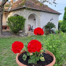 Zöld Dió Vendégház Bodrogkisfalud