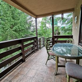 Cabana Brazilor Plaiu Câmpinei