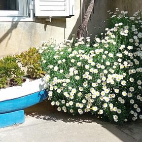 Vendégház Veli Iž - CDU555