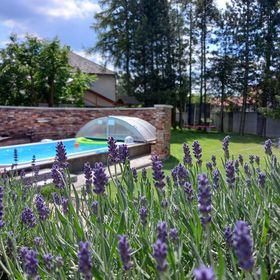 Villa Natura Zator Przeciszów